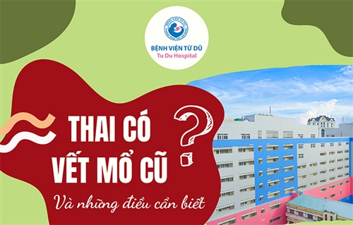 thai-co-vet-mo-cu-1-cover.jpg