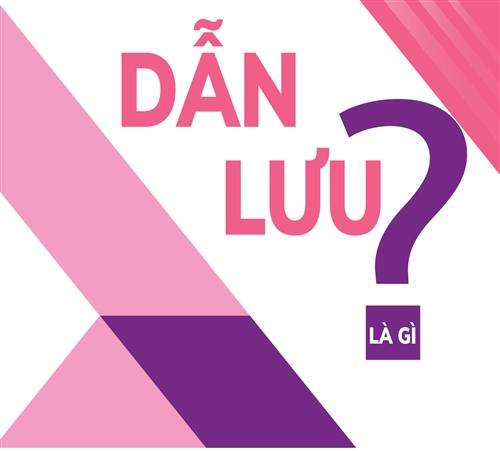 04-dan-luu-01-03.jpg